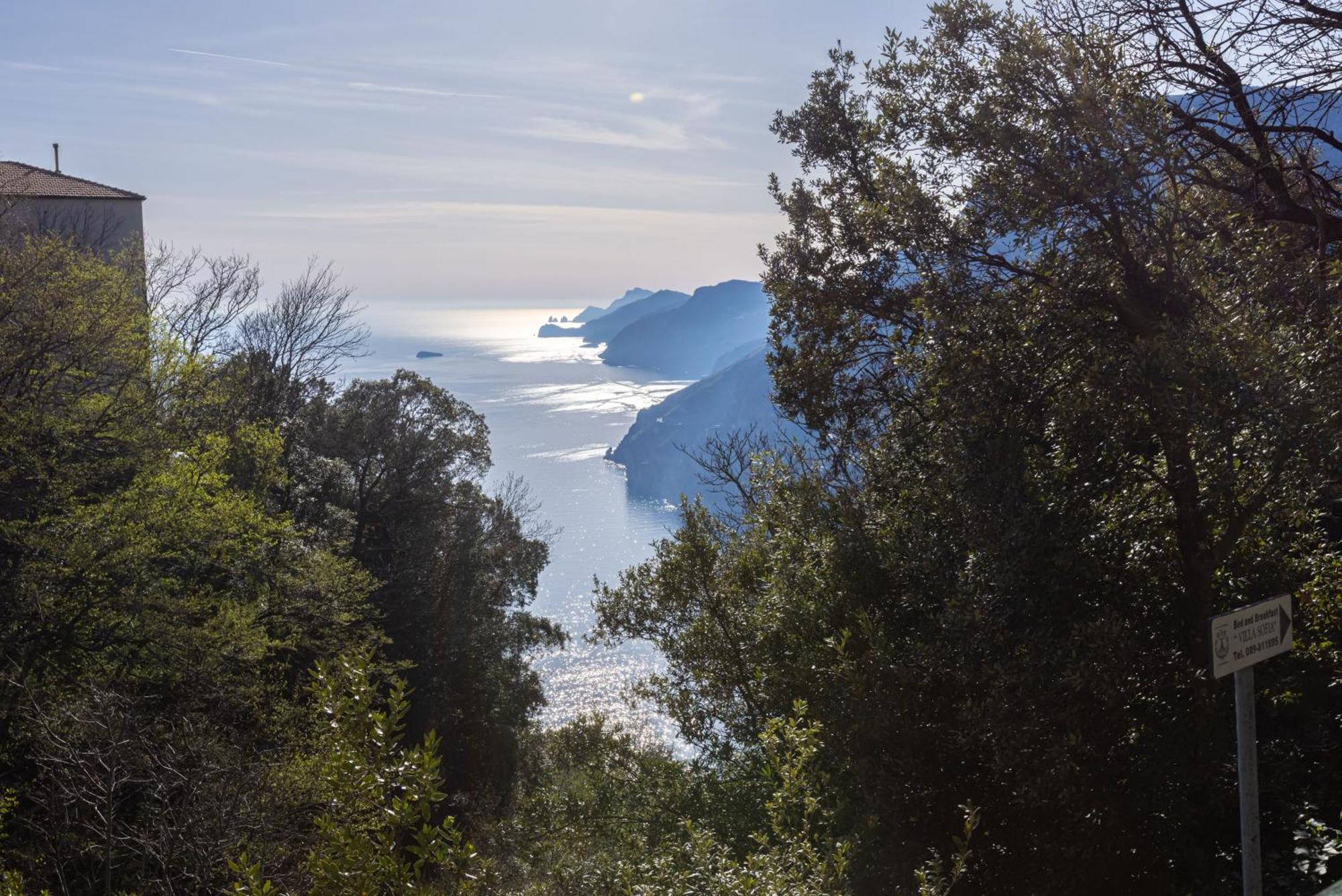 Apartament Casa Satriano Positano Zewnętrze zdjęcie